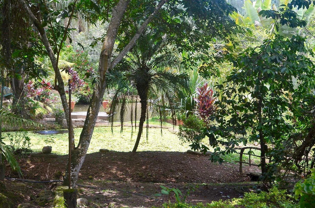 Hotel Amanwana Ecofinca 2*