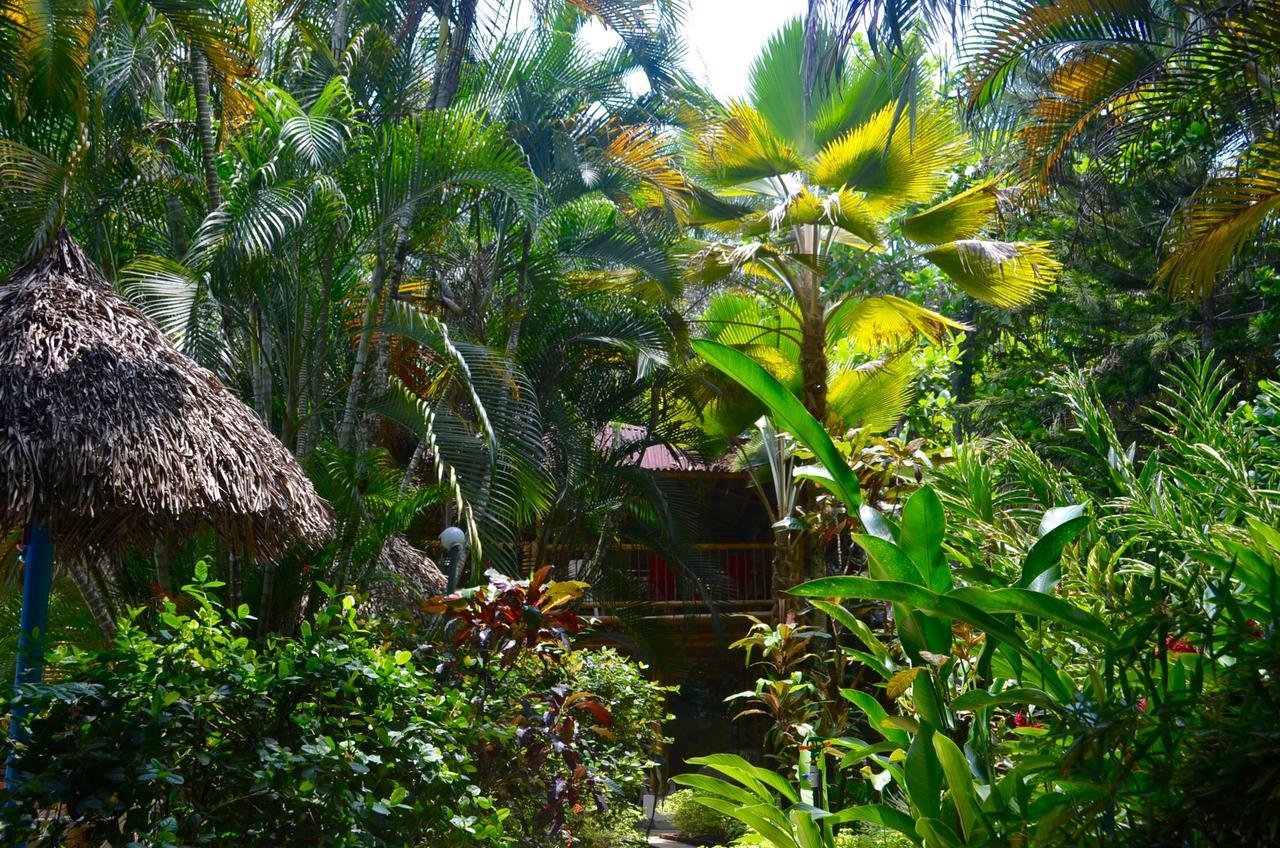 Amanwana Ecofinca Hotel