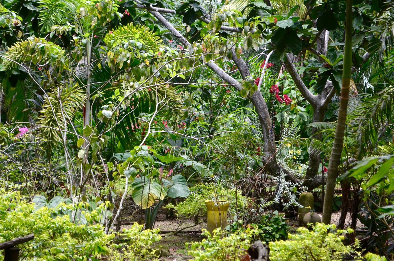 Amanwana Ecofinca Hotel Melgar