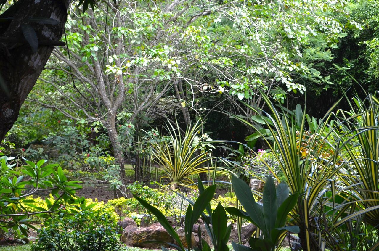 Amanwana Ecofinca Melgar