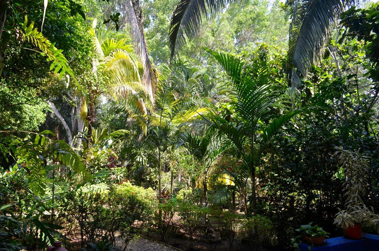 Amanwana Ecofinca Melgar