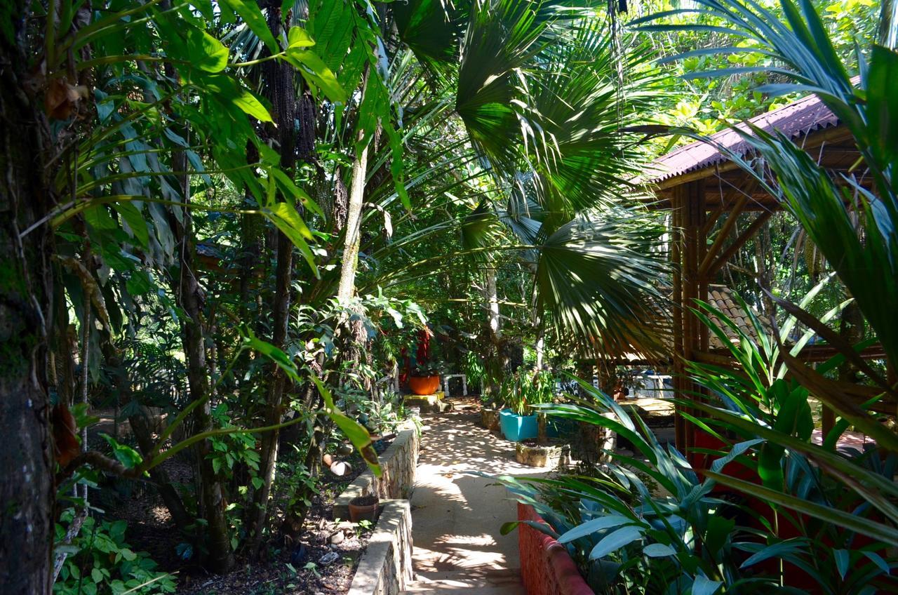 Amanwana Ecofinca 2*