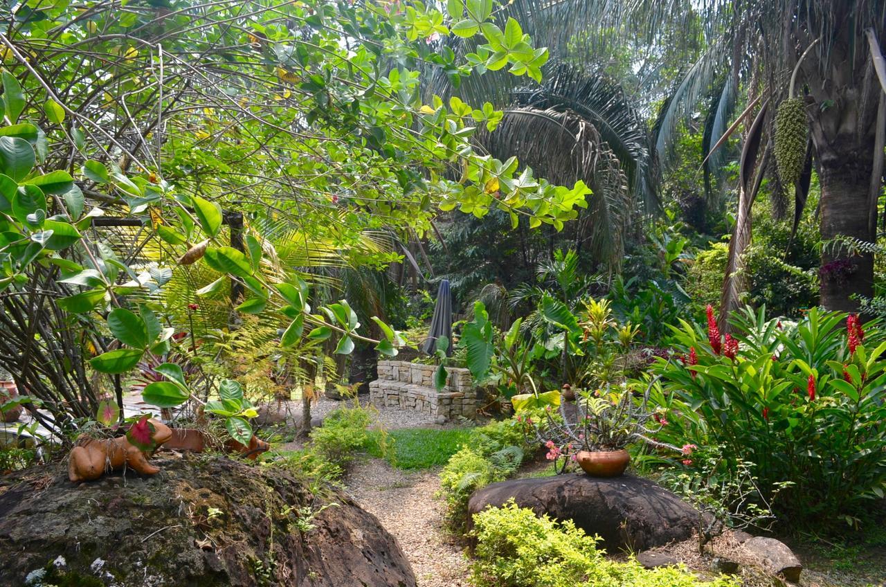 Hotel Amanwana Ecofinca 2*
