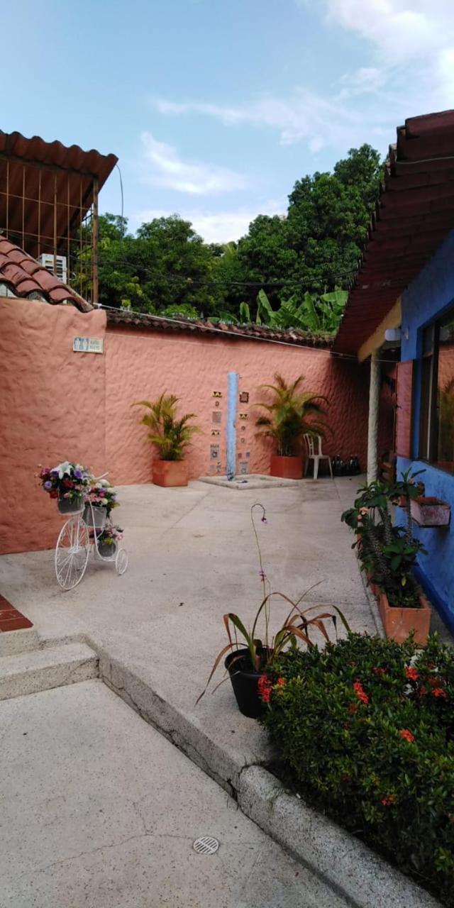 Palma Paraiso Melgar