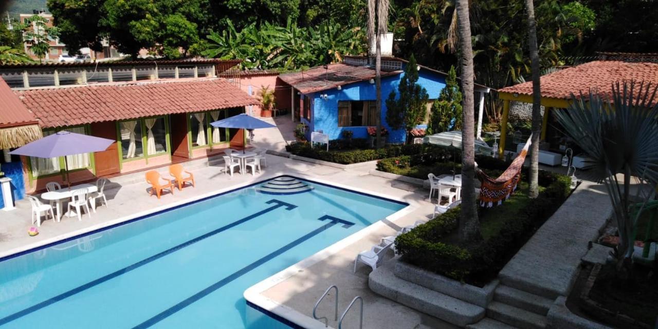Palma Paraiso Melgar