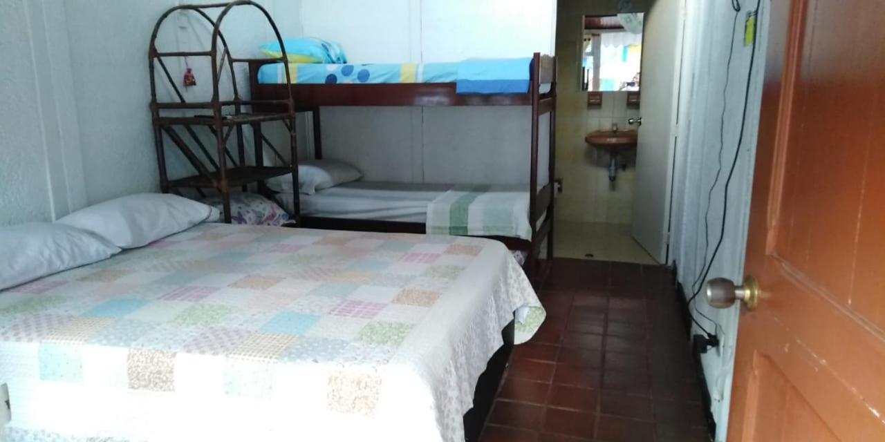 Palma Paraiso * Melgar