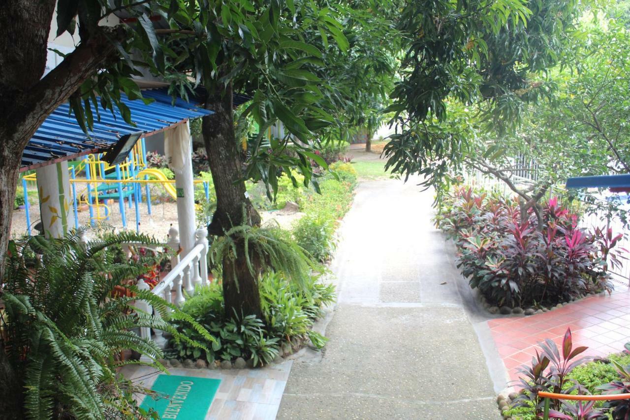 Campestre Luz. *