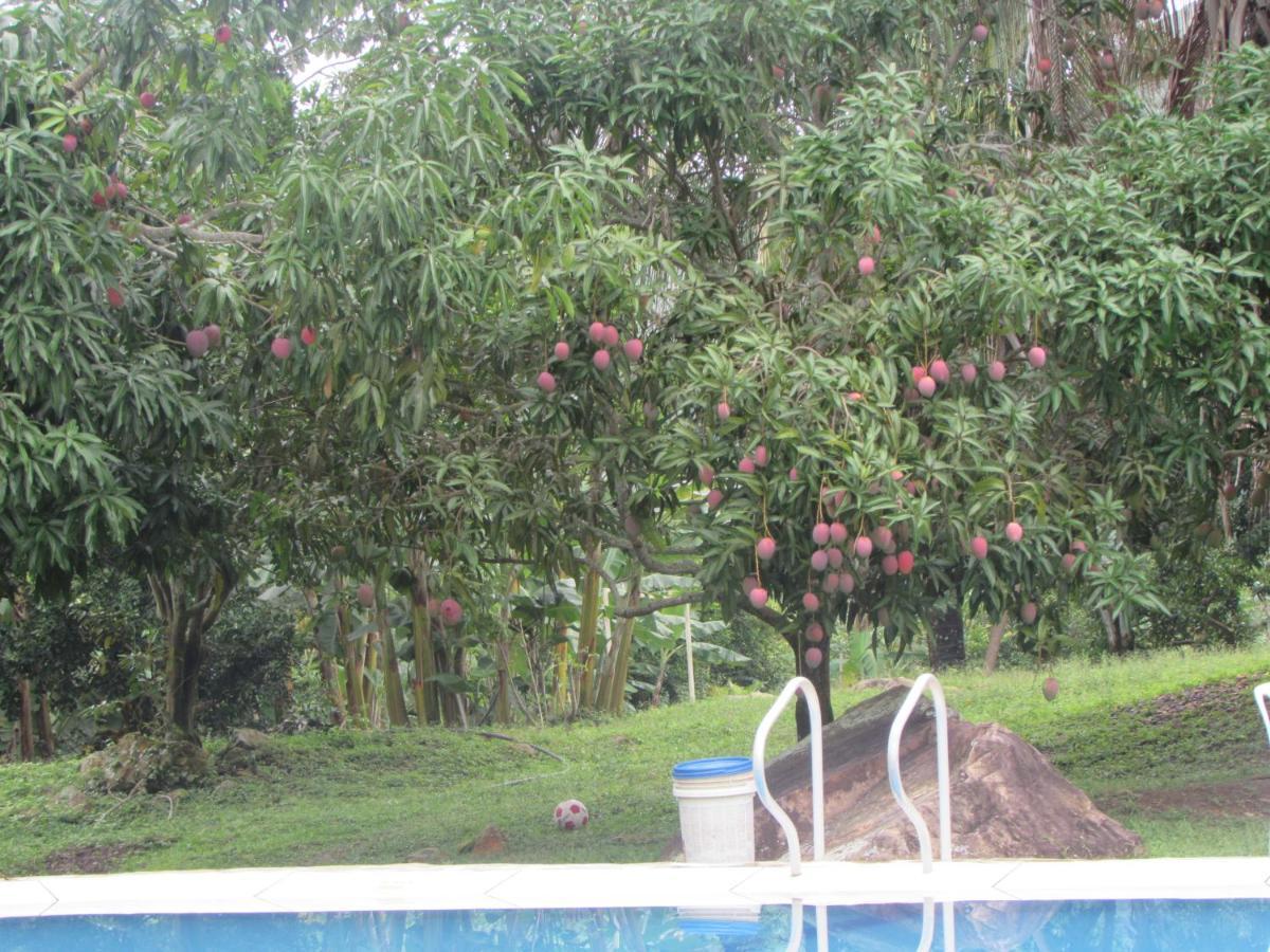 Turistica Santa Barbara * Melgar